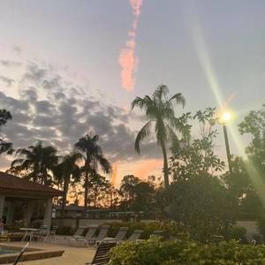 Meet your Posher, Jaelyn